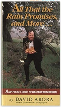 all that the rain promises mushroom book