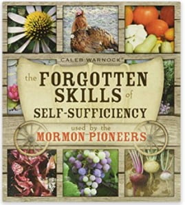 FOrgotten Skills book
