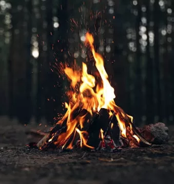 campfire in the woods