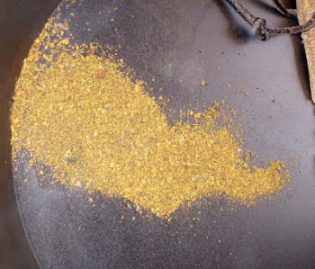 alluvial gold found by panning for gold