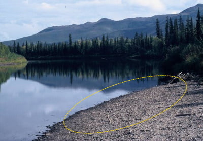 slow moving inner bends of a river can have gold deposits