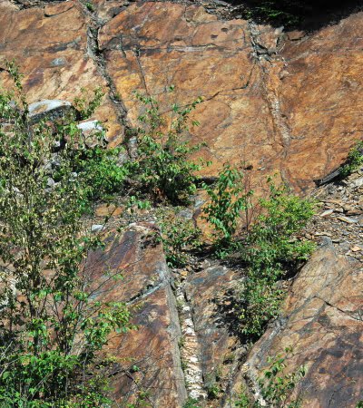 quartz vein in phylite where gold can be formed