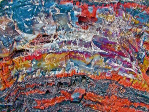 closeup of arizona petrified wood