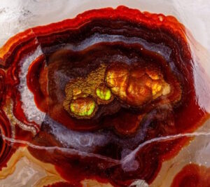 slice of arizona fire agate