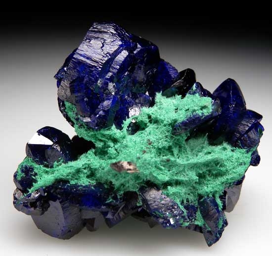 fine azurite specimen from the milpillas mine