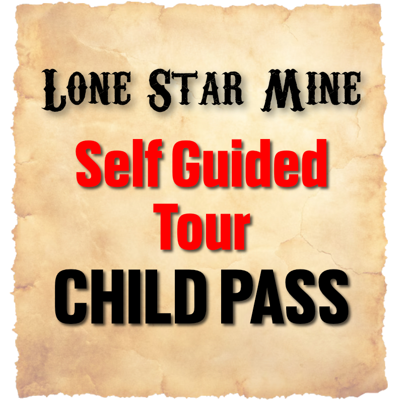 Self Guided Tour Child Pass